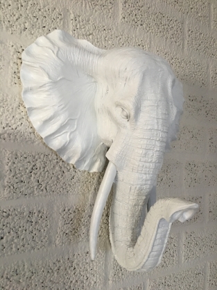 Beautiful white elephant head wall ornament, beautiful!!